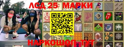 индика Обь