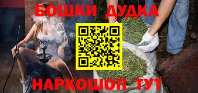 индика Обь