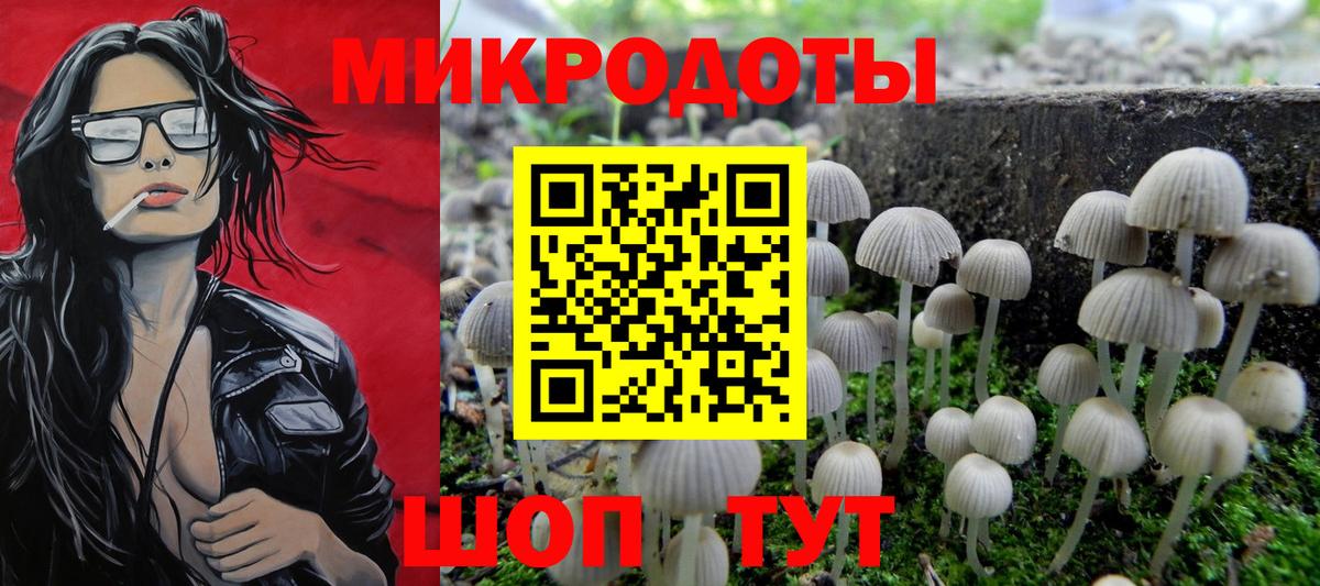 Галлюциногенные грибы Psilocybe Усолье-Сибирское