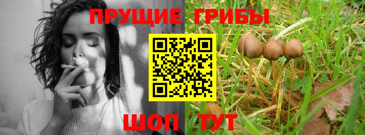 Усолье-Сибирское  Галлюциногенные грибы ЛСД  Псилоцибиновые грибы ЛСД  Вход с VPN 